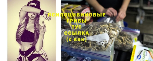 прущая мука Медвежьегорск