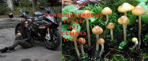 МДПВ Мегион