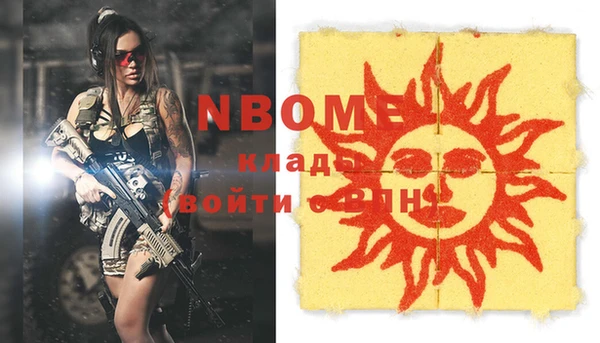 мдпв Михайлов