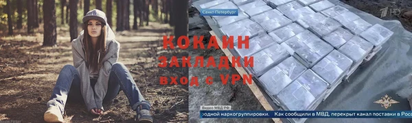 мдпв Михайлов