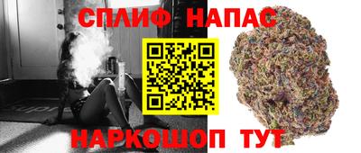 прущие грибы Донецк