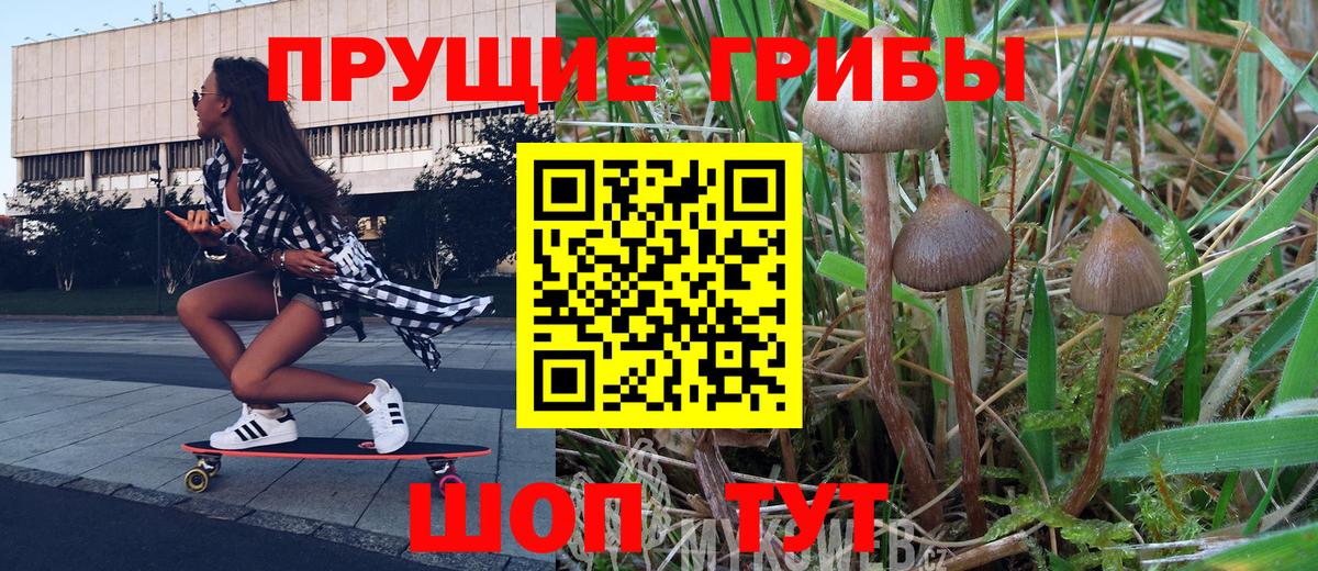 Псилоцибиновые грибы MAGIC MUSHROOMS  дарнет шоп  Мурино 