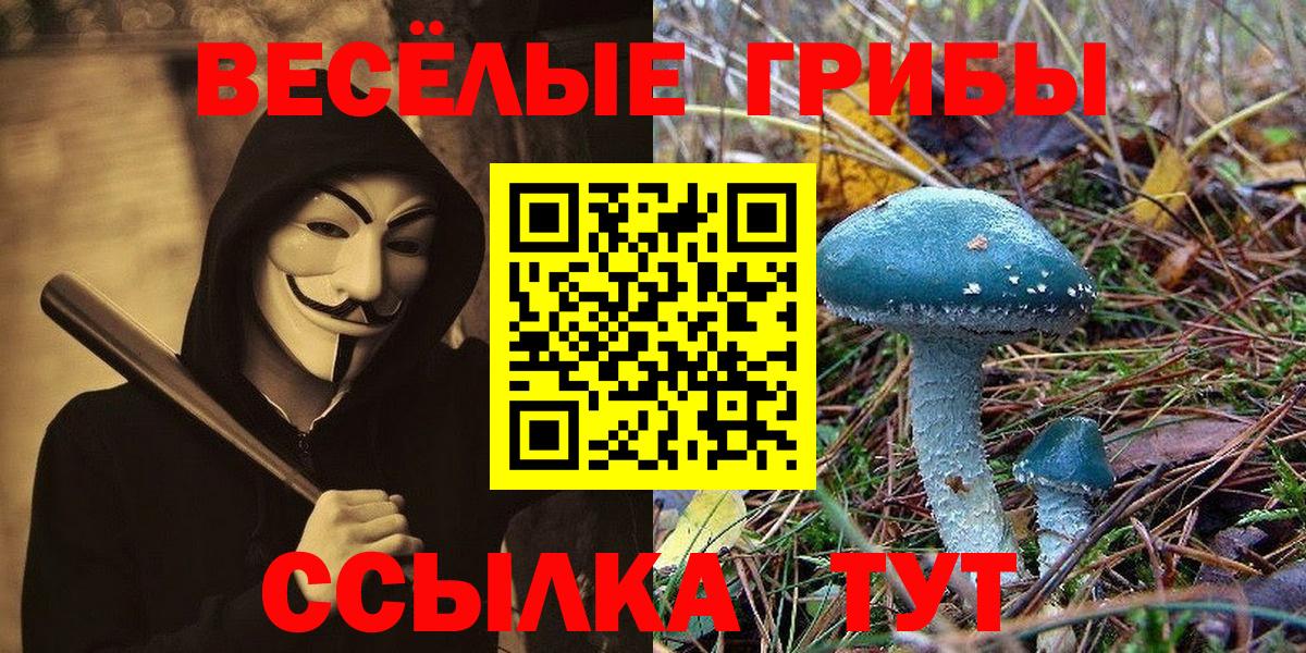 Галлюциногенные грибы Magic Shrooms  Вход с VPN  Мурино  Галлюциногенные грибы мицелий 