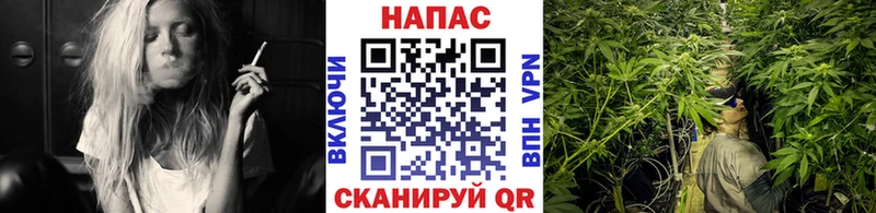 Канабис Ganja  купить наркотики цена  Мурино 