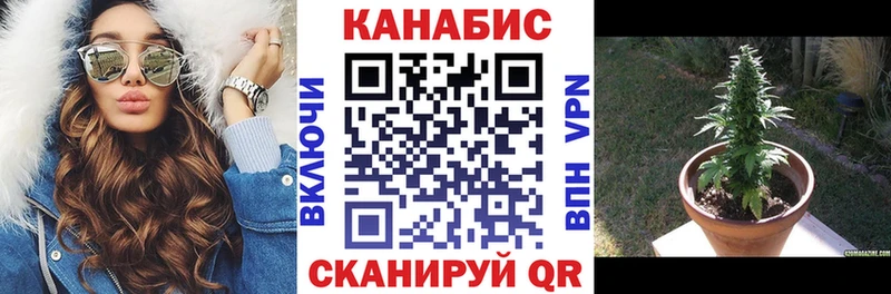 Бошки Шишки гибрид Мурино
